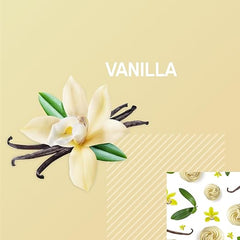 Optimum Nutrition Gold Standard Protein Shake, 24g Protein, Ready to Drink Protein Shake, Gluten Free, Vitamin C for Immune Support, Vanilla, 11 Fl Oz, 12 Count (Pack of 1) (Packaging May Vary) Retailxpres