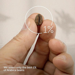 Hand holding a coffee bean with '1%' text, indicating high-quality selection.