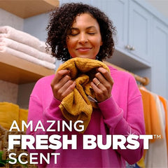 ARM & HAMMER Plus OxiClean with Odor Blasters 5-in-1 Laundry Detergent Power Paks, Laundry Odor Remover, Eliminates Odors, Attacks Stains, Fresh Burst Scent, 42 Count Retailxpres