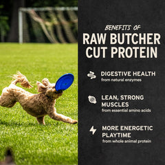 Vital Essentials Beef Liver Dog Treats, 2.1 oz | Freeze-Dried Raw | Single Ingredient | Premium Quality High Protein Training Treats | Grain Free, Gluten Free, Filler Free Retailxpres