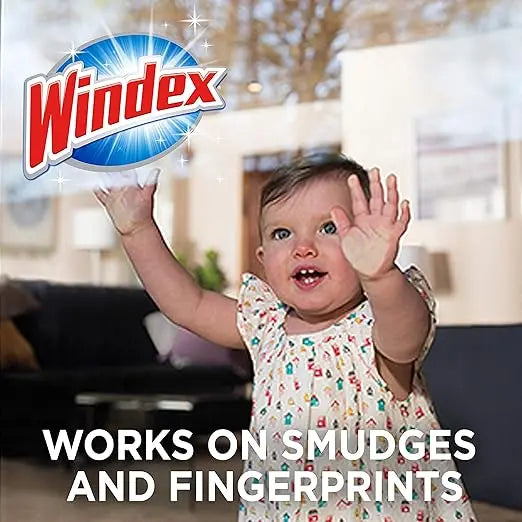 Windex Wipes Glass Cleaning Ammonia Free, Pre-Moistened Wipes for Cleaning All Glass Surfaces, Crystal Rain Fresh Scent, 25 Count Retailxpres