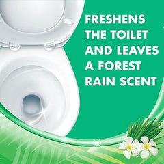 Lysol Toilet Bowl Cleaner Gel, For Cleaning and Disinfecting, Stain Removal, Forest Rain Scent, 24oz (Pack of 2) Retailxpres