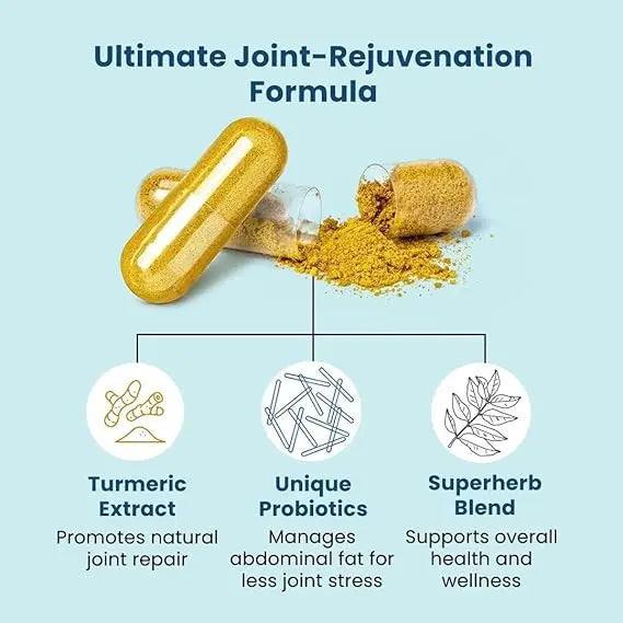 BB Company Provitalize | Probiotics for Women Digestive Health, Menopause, Joint Support | Sexy Midsection Curves, Bloat | Turmeric Curcumin Moringa | Packaging Vary | 60 Ct Retailxpres