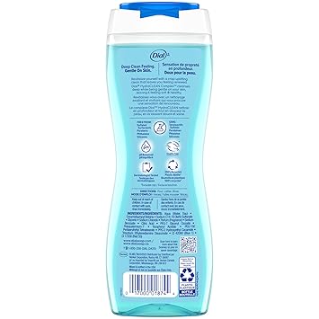 Dial Body Wash, Refresh & Renew Spring Water, 16 fl oz (Pack of 4)