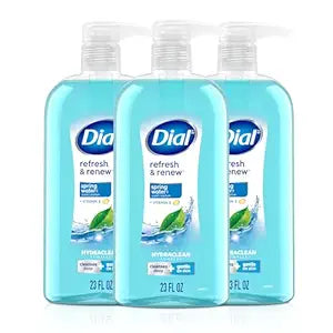 Dial Body Wash, Refresh & Renew Spring Water, 23 fl oz (Pack of 3)
