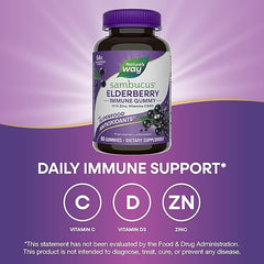 Nature’s Way Sambucus Elderberry Immune Support Gummies for Kids & Adults* with Black Elderberry Extract, Vitamin C, Vitamin D3, and Zinc, 60 Gummies (Packaging May Vary)