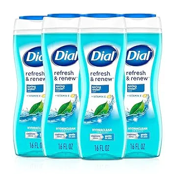 Dial Body Wash, Refresh & Renew Spring Water, 16 fl oz (Pack of 4) Retailxpres
