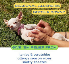 Native Pet Dog Allergy Chews - Dog Allergy Relief with Probiotics and Colostrum for Itchy Skin Relief to Support Seasonal Allergy and Healthy Immune System - All Natural Anti-Histamine - 30 Chews