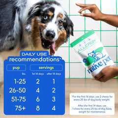 Native Pet Dog Allergy Chews - Dog Allergy Relief with Probiotics and Colostrum for Itchy Skin Relief to Support Seasonal Allergy and Healthy Immune System - All Natural Anti-Histamine - 30 Chews