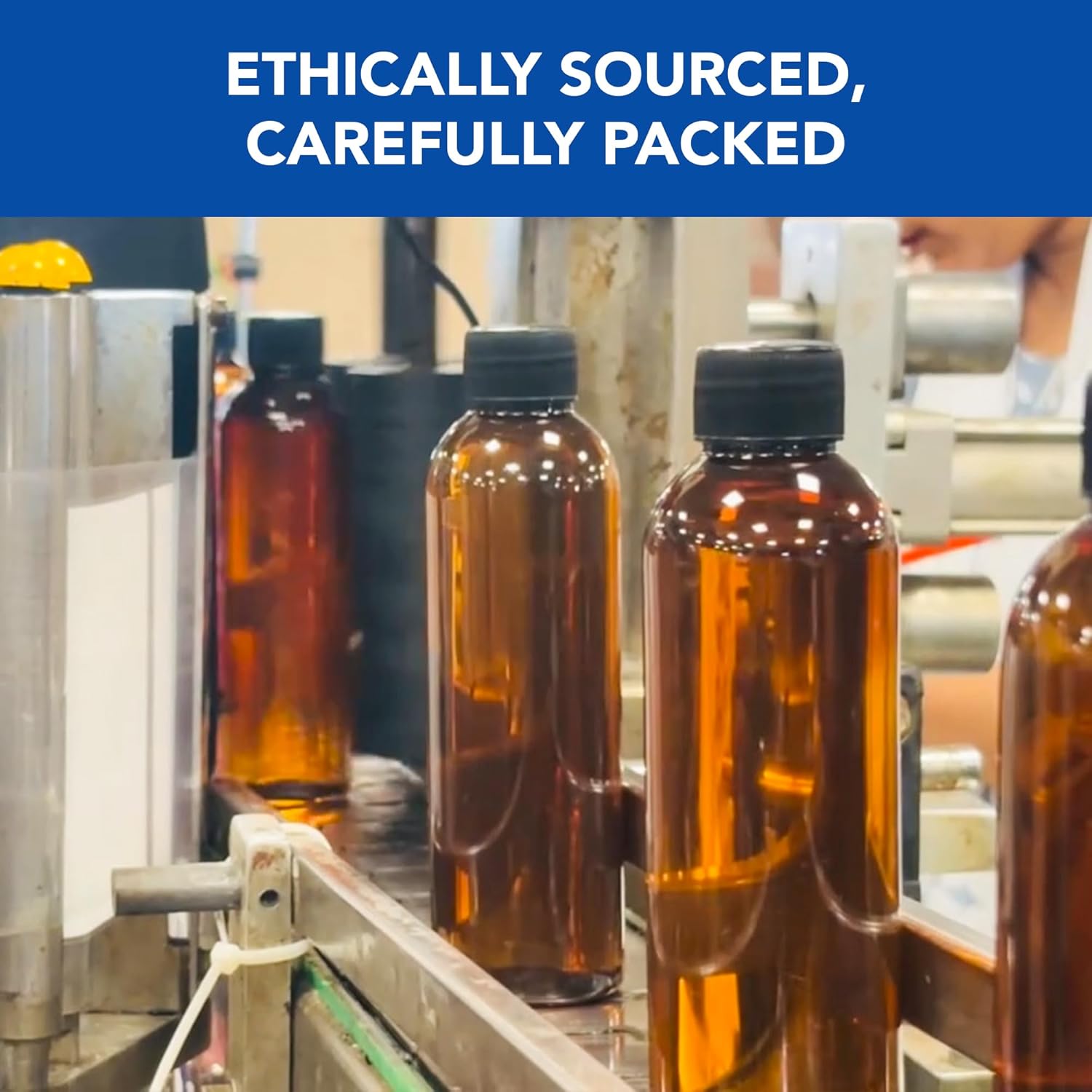 Botanic Hearth 100% Pure Rosemary Oil for Hair Growth (6.7 fl oz)| Infused with Biotin, Jojoba & Castor Oil IFELSHOP