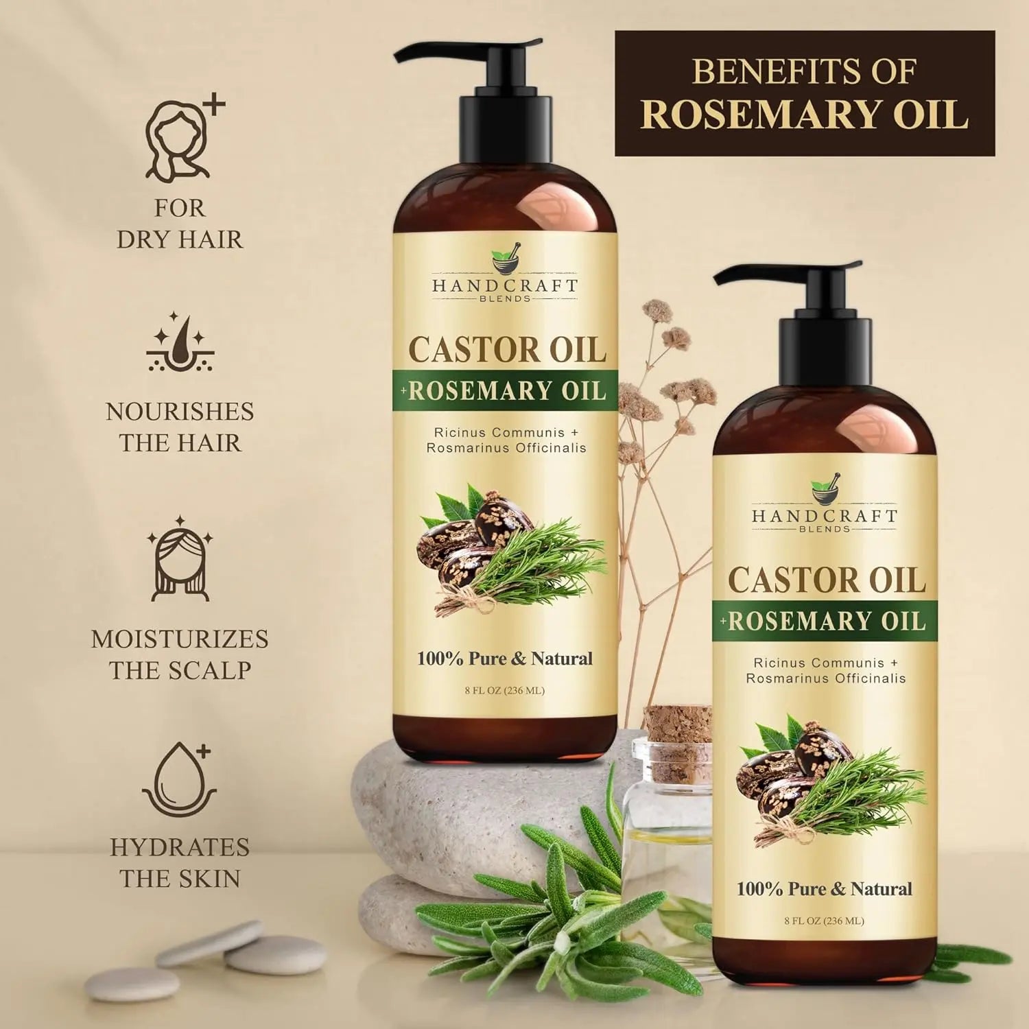 Handcraft Blends Castor Oil with Rosemary Oil 8 Fl Oz | 100% Pure and Natural | Premium Grade Carrier Oil | Hair, Eyelashes and Eyebrows | Hair and Body Ifelshop