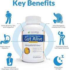 Gut Alive - All Natural Support to Fight IBS, Heartburn, Acid Indigestion, Acid Reflux, Bloating & Gas. Unique Formulation (60 Count (Pack of 1))
