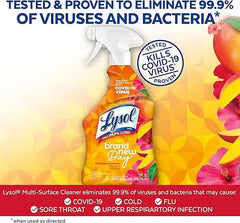 Lysol Cleaning Spray for Bathrooms – Fresh Mango & Hibiscus Fragrance