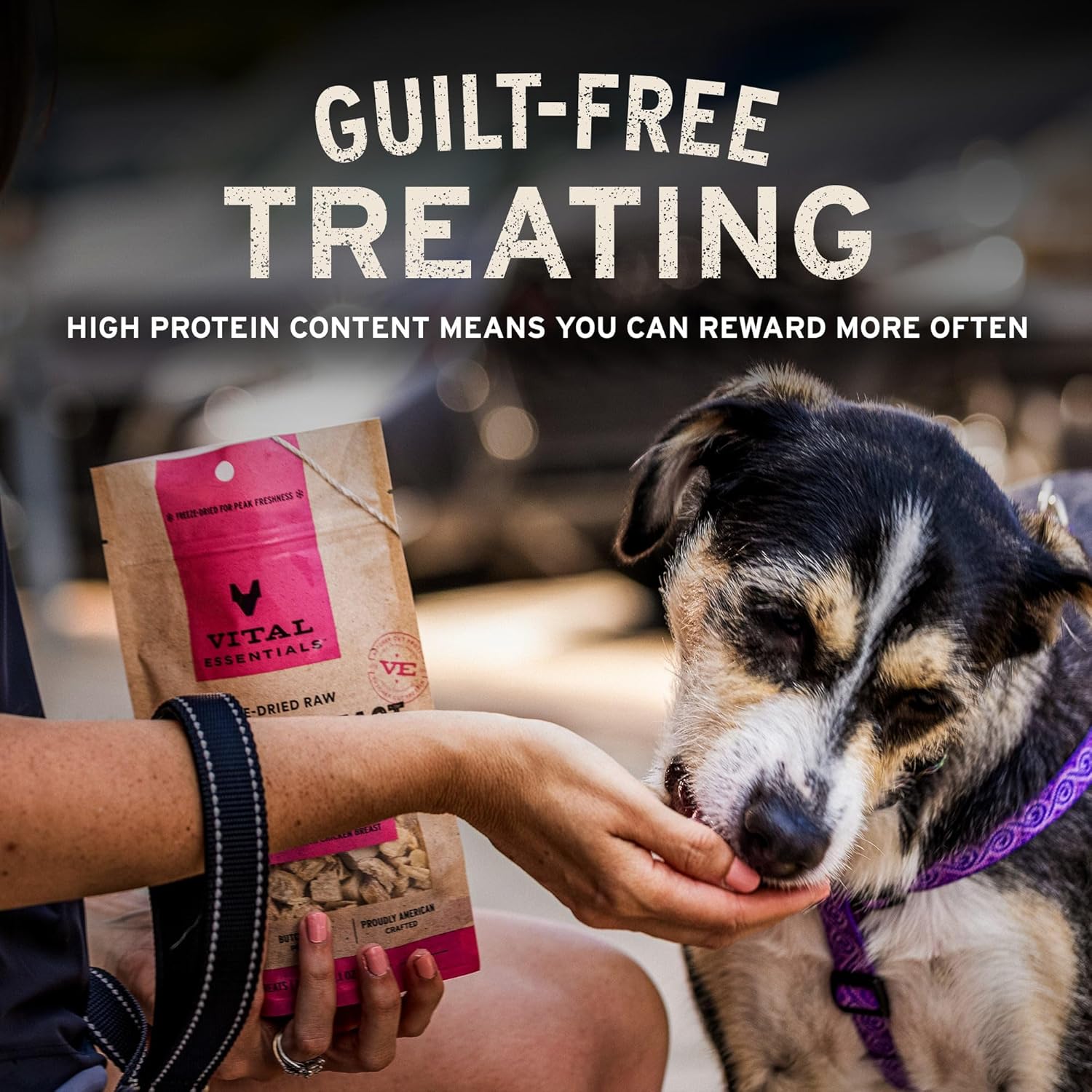 Vital Essentials Beef Liver Dog Treats, 2.1 oz | Freeze-Dried Raw | Single Ingredient | Premium Quality High Protein Training Treats | Grain Free, Gluten Free, Filler Free