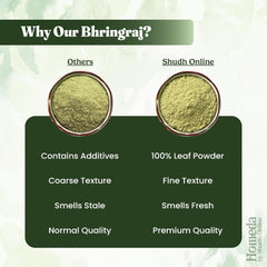 Bhringraj Powder Organic for Hair Growth 100g (3.5 oz) | Eclipta Alba False Daisy Herb | Karisalankanni Eclipta Prostrata for Strong Hair Ifelshop