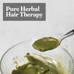 Bhringraj Powder Organic for Hair Growth 100g (3.5 oz) | Eclipta Alba False Daisy Herb | Karisalankanni Eclipta Prostrata for Strong Hair Ifelshop