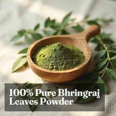 Bhringraj Powder Organic for Hair Growth 100g (3.5 oz) | Eclipta Alba False Daisy Herb | Karisalankanni Eclipta Prostrata for Strong Hair Ifelshop