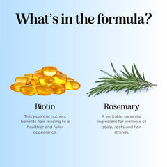 Rosemary and Biotin Shampoo for Thinning Hair - Vegan Volumizing Shampoo for Fine Hair with B Vitamins Argan Oil & Tea Tree Essential Oil - Paraben Silicone and Sulfate Free Vegan Formula (8 Fl Oz) Ifelshop