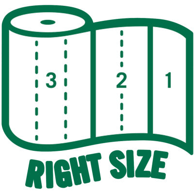 Seventh Generation 100% Recycled Paper Towels (SEV13739PK)