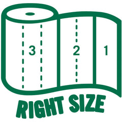 Seventh Generation 100% Recycled Paper Towels (SEV13739PK)