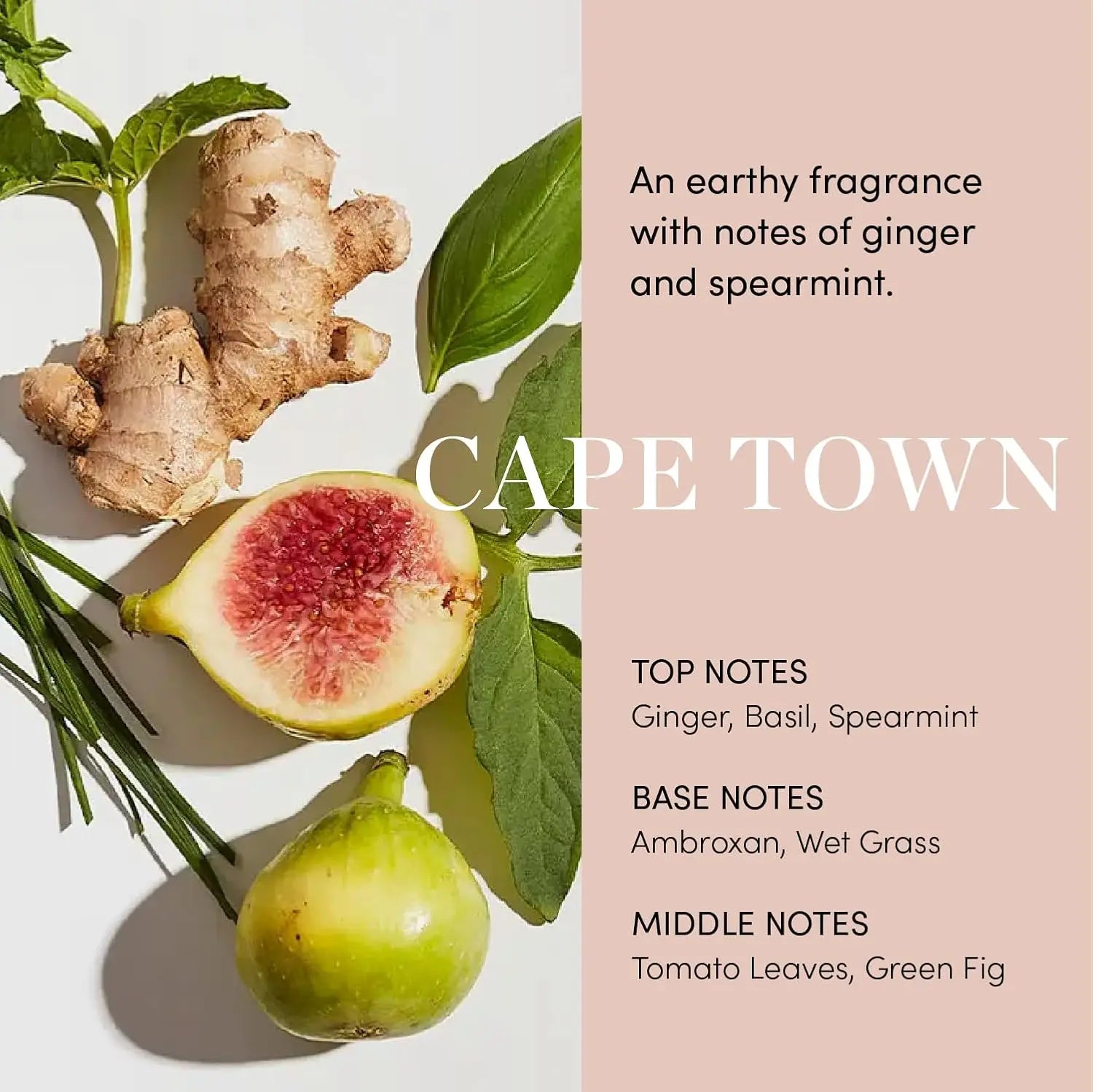 OUAI Scalp Balancing Serum – Lightweight Peptide Scalp Treatment with Red Clover Extract & Siberian Ginseng for Fuller-Looking Hair, Clean & Sulfate-Free Formula (2 fl oz) Ifelshop