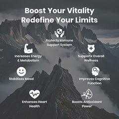 Shilajit for Men Women, Shilajit with Naturally Fulvic Acid & L-Arginine, Himalayan Shilajits for Extra Power, Stamina & Immune Support, Non-GMO, Made in USA, 60 Capsules, 1,300mg Per Serving