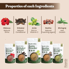 Herbal Hair Mask Powder Combo | Ayurvedic Herbal Hair Mask for Hair Growth & Scalp Care (1.76oz each) Ifelshop