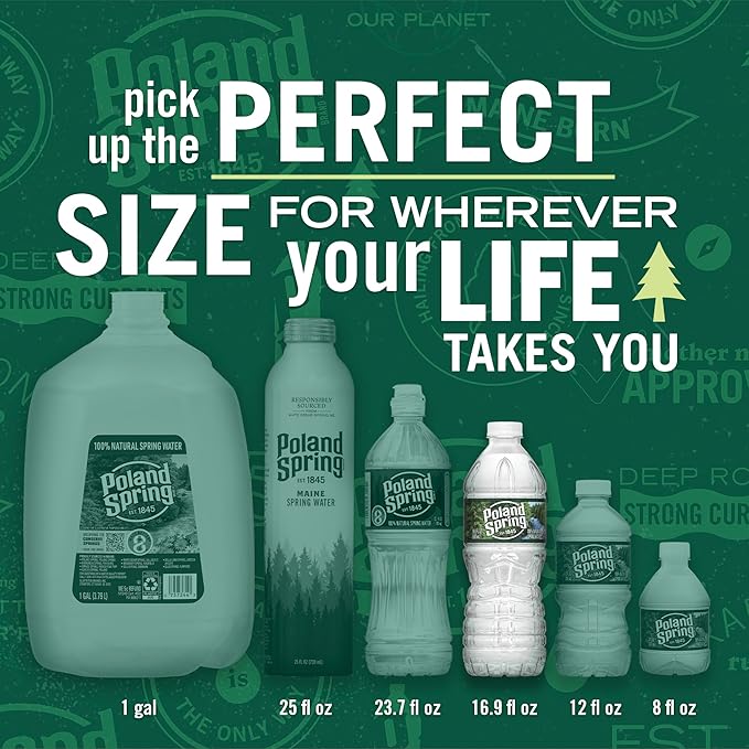 Poland Spring Maine Spring Water Bottles, 24 Pack – Crisp, Still Bottled Water with Naturally Balanced Occurring Minerals & Electrolytes for Taste - 16.9 Fl Oz