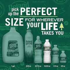 Poland Spring Maine Spring Water Bottles, 24 Pack – Crisp, Still Bottled Water with Naturally Balanced Occurring Minerals & Electrolytes for Taste - 16.9 Fl Oz