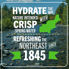 Poland Spring Maine Spring Water Bottles, 24 Pack – Crisp, Still Bottled Water with Naturally Balanced Occurring Minerals & Electrolytes for Taste - 16.9 Fl Oz